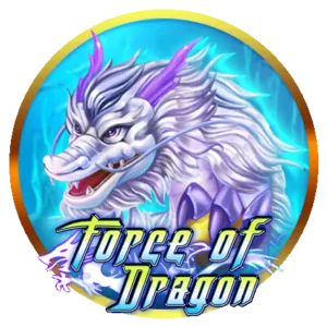 Terms and Conditions document